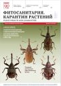 Титульный лист