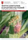 Титульный лист