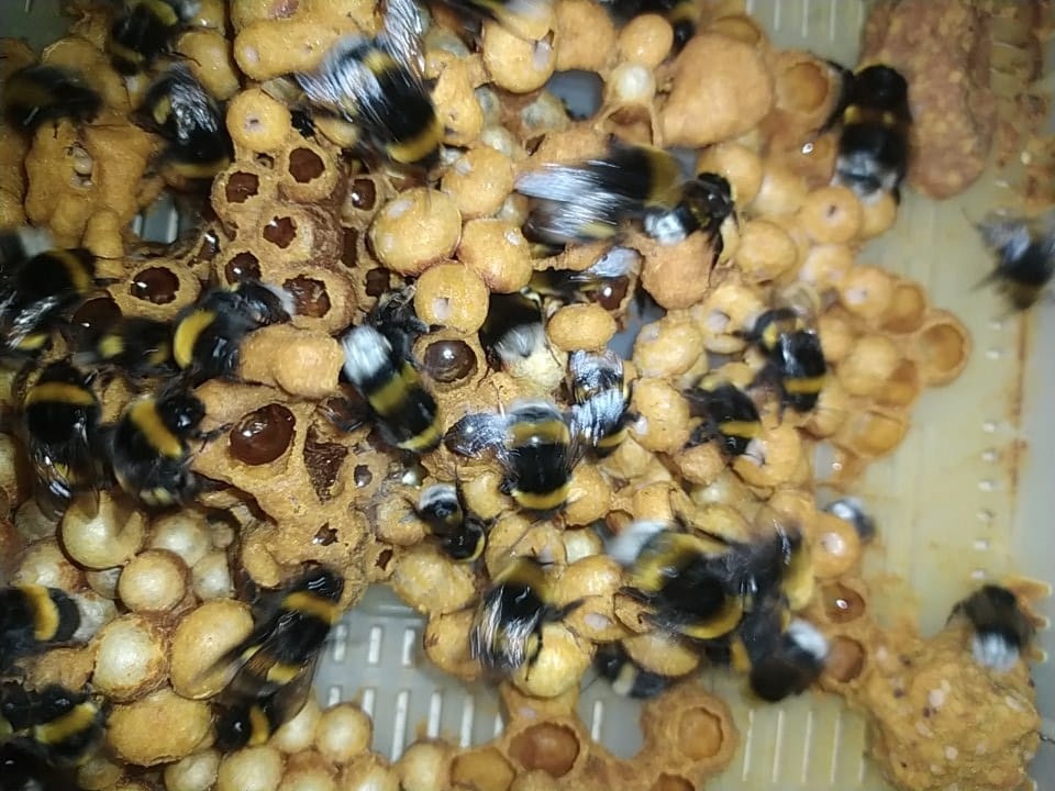 WhatsApp Image 2025-06-04 at 10.18.50.jpg