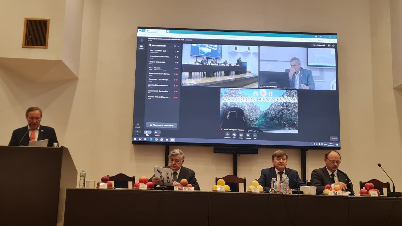 IMG-20250926-WA0011 (1).jpg