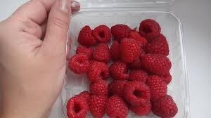 ТРИПС МАЛИНА (1).jpg